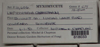 Image Associated With the Occurence